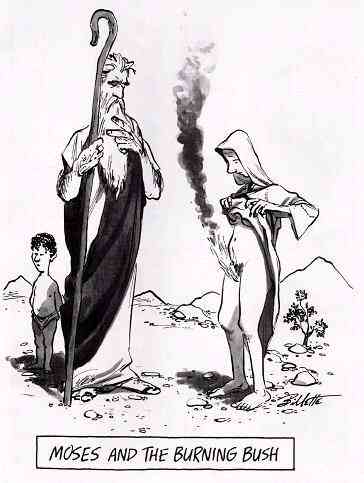 Burning bush
