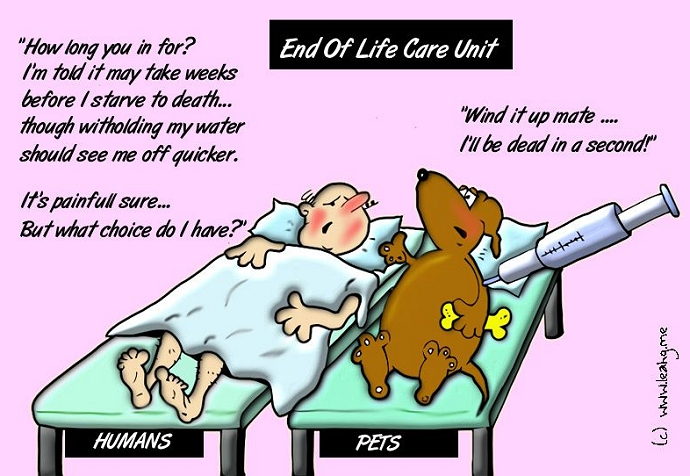 Euthanasia for dogs