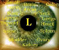 Eye