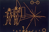 Plaque-reversed